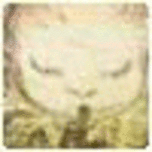 Evavvr Evavvr