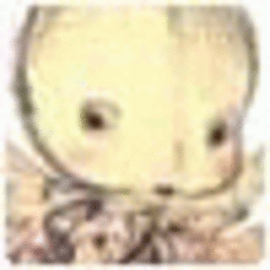 Evaawv Evaawv