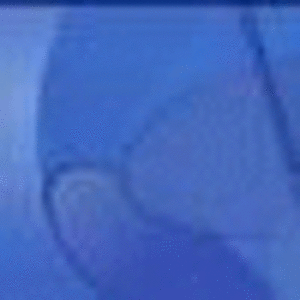 Evaclh Evaclh