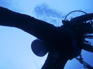 Gerushii Matsuda